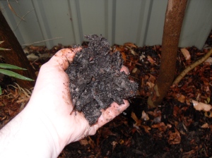 handful of coffee compost