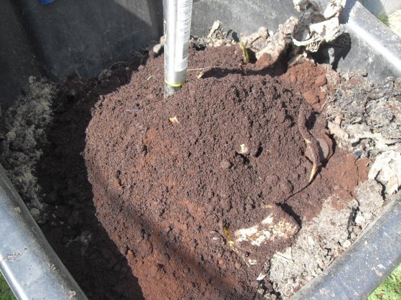 coffee grounds for compost and fertilizer