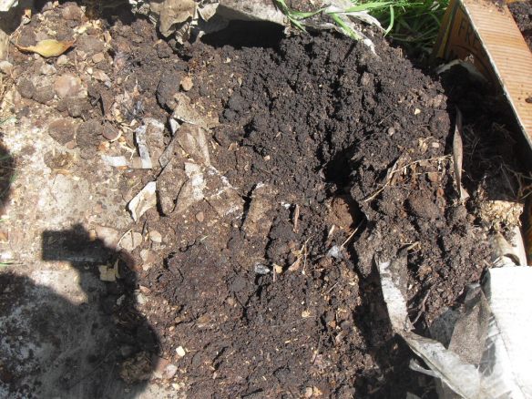 coffee compost to help soil