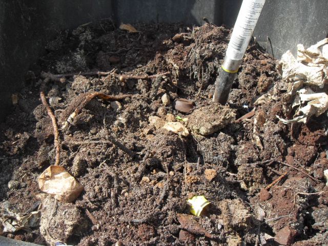 coffee grounds now combined with compost as new soil