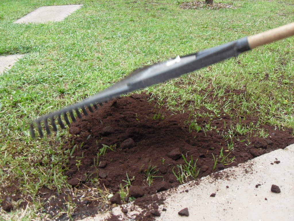 From Coffee Grounds To Lawn Fertilizer