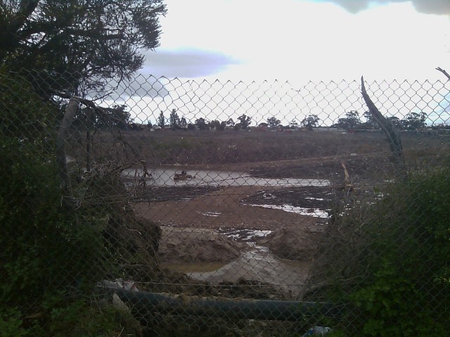 Landfill coffee grounds