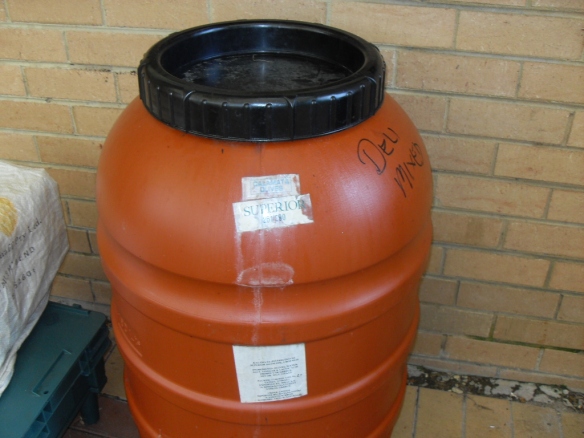 reuse of olive drum for rain water