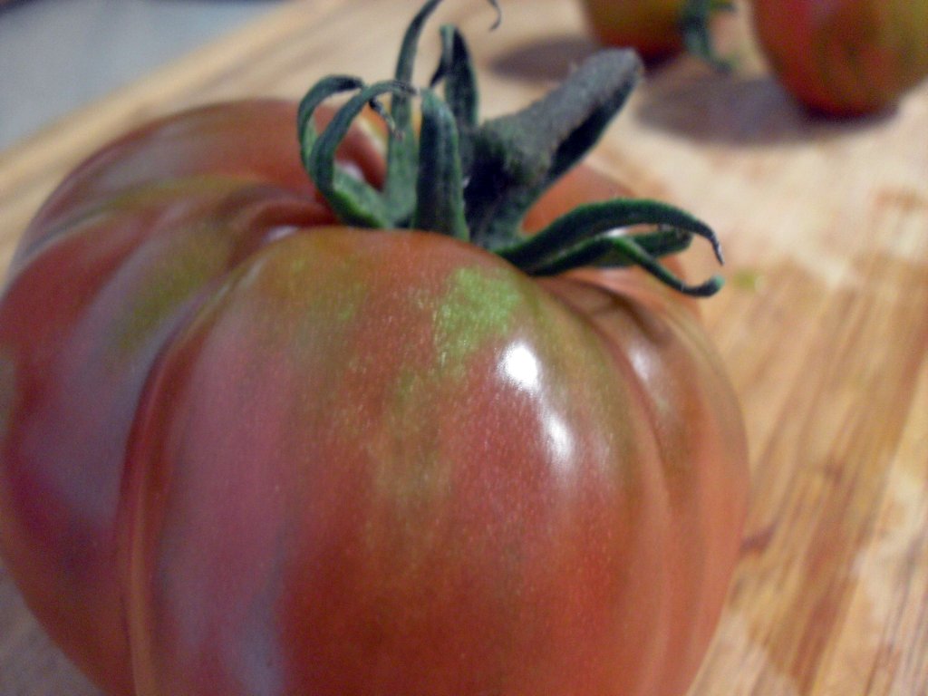 Maximize Tomato Growth with Natural Coffee Grounds&nbsp;Fertilizer