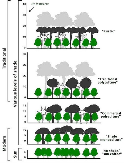 topography of various methods of coffee growing