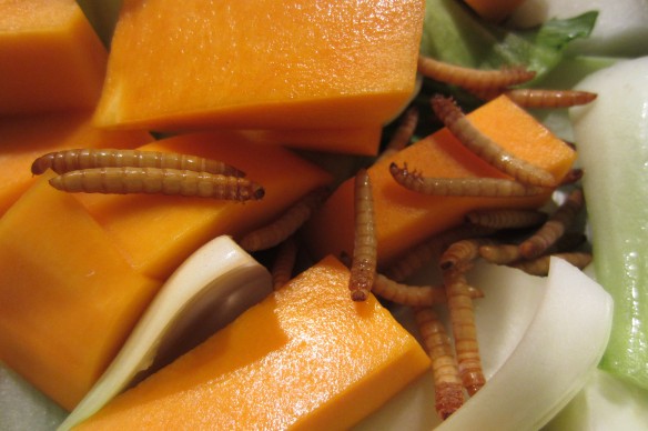cook insects for persons dinner