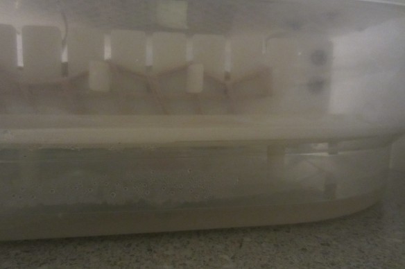 water poured into the incubator humidity