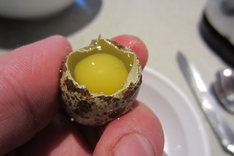 quail-egg-cracked an opened quail egg
