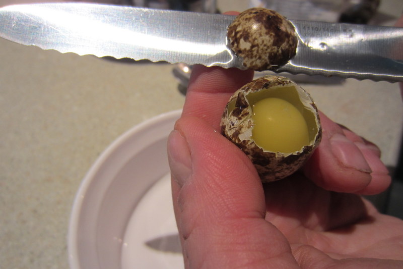 quail-egg-open top part of quail egg on knife