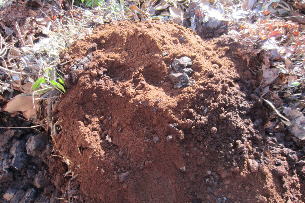 Coffee Grounds Radio Interview on 98.9 North West FM