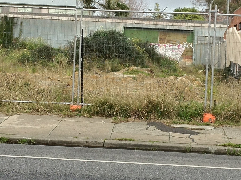 Backyard or garden photographed in August 2012