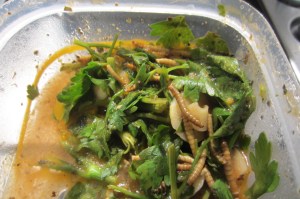 marinade made for mealworms