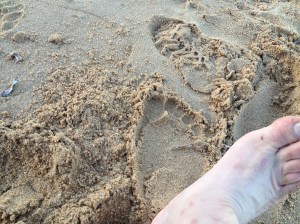 footprints left on the beach at cowes