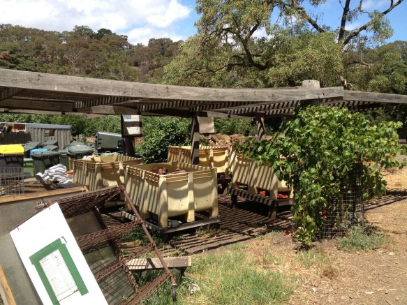 composting at collingwood children farm