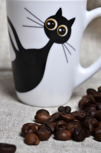 a cup of coffee with cat