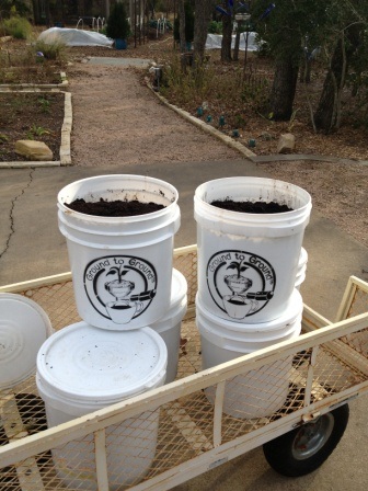 Caffeinate Your Compost