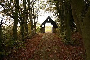 Autumn Pleasures