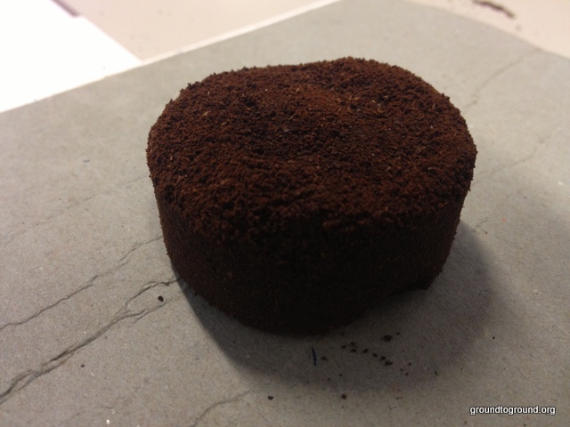 coffee potting plants