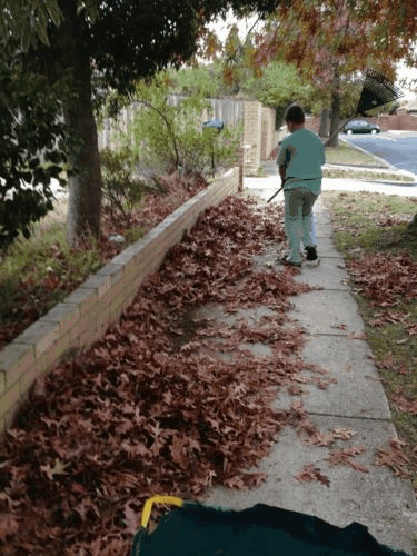noah-rakes-leaves