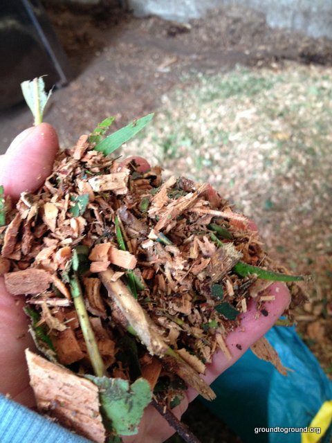 Mulch on a Vegetable Garden