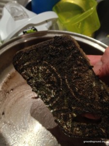 scrubber coffee grounds