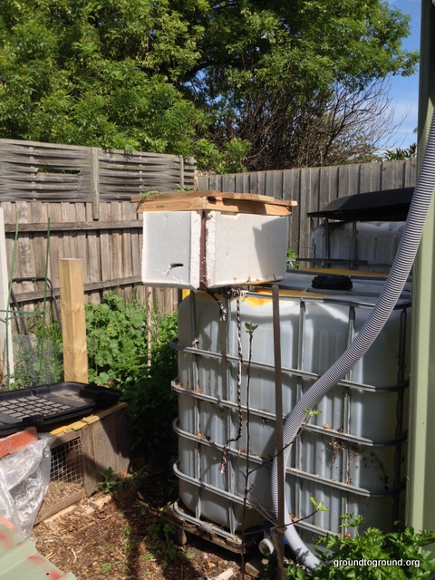 polystyrene beehive homemade