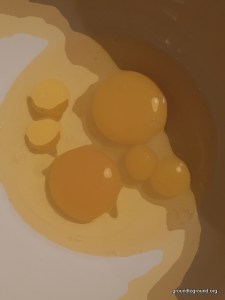 weird image of eggs