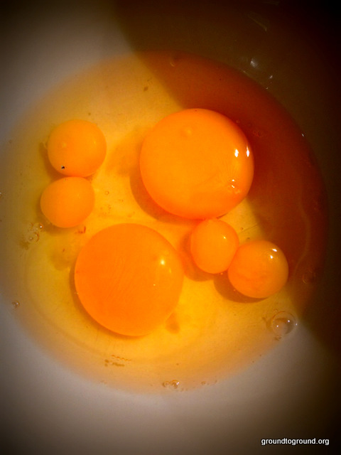 Chicken and Quail Omelette with Chicken and&nbsp;Quail