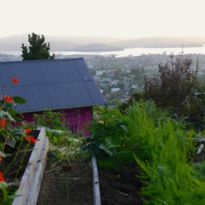 Visiting a hillside Backyard Permaculture in Hobart…