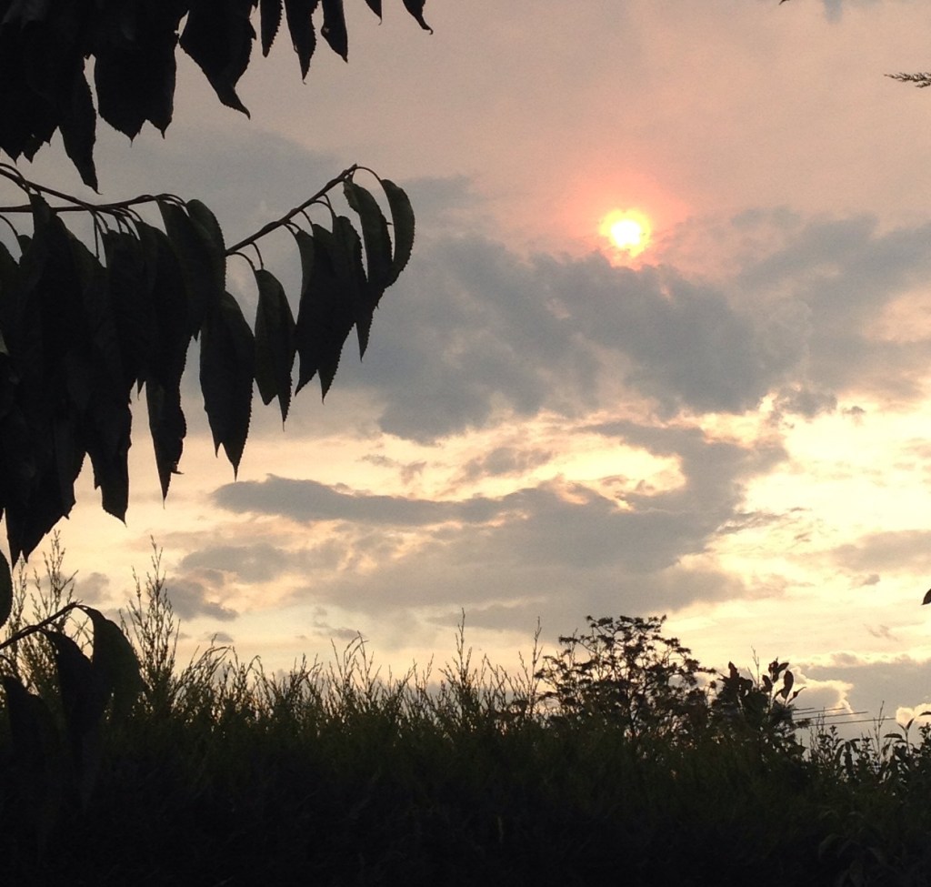A Victorian Sunset over&nbsp;Bushfires