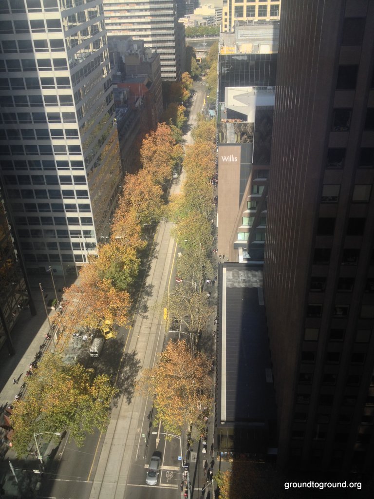 Melbourne trees Autumn 2014