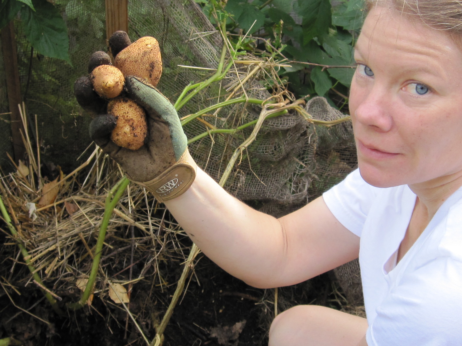 How I became The Coffee Grounds Lady