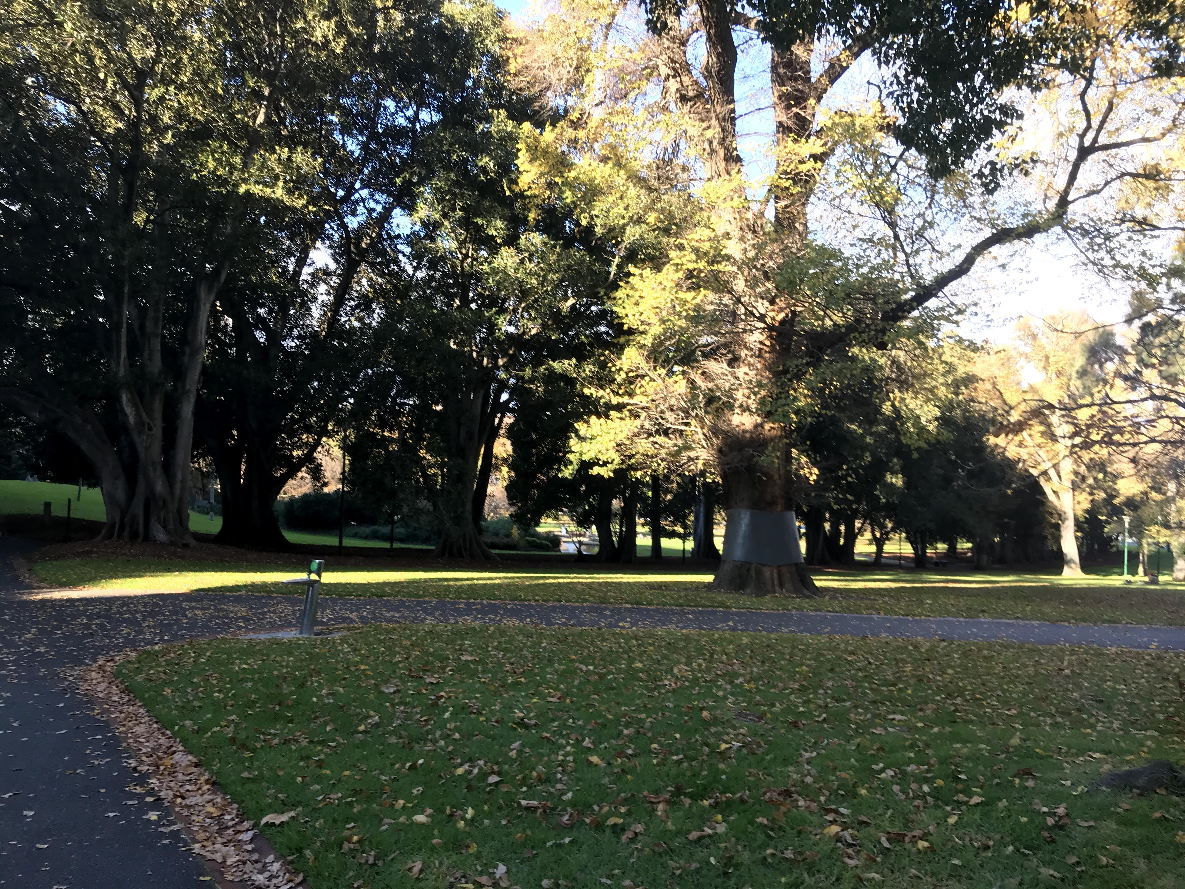 Treasury Gardens Melbourne