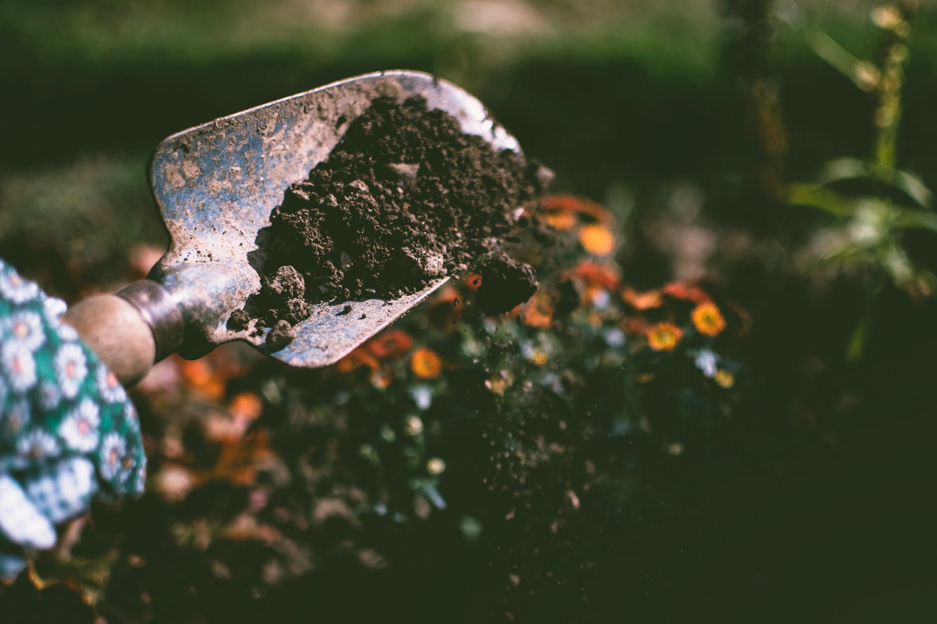 Coffee Grounds News: Recycling in Minnesota