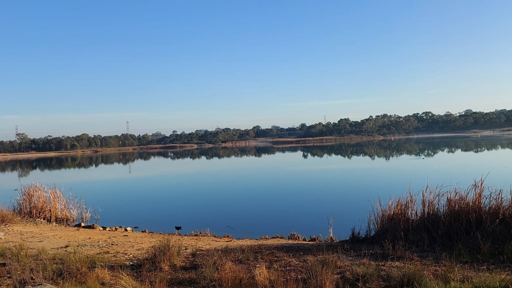 Oh a new paradigm pushing the&nbsp;envelopes