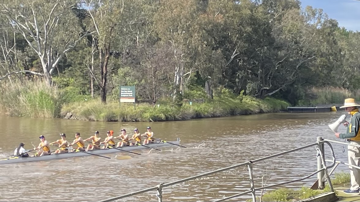 Row of bird nests along the waterline where water meets grass